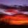 srobb_photo