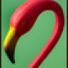 flamingo