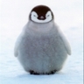 roundcloud