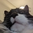 BigStinkyBean