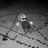 dearcomposer