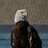 Birdisthename