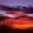srobb_photo