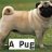 luke_h