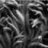 foggyimages