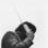 Willy_Icon