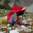 mtnjunkie