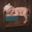 Deanie Canales