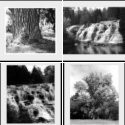 Member Album by Bruce Osgood