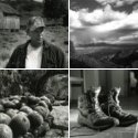 Member Album by shicks5319