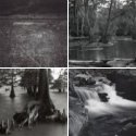 Member Album by Andy Tymon