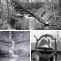 Member Album by bransonman