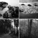 Member Album by Tom Kershaw