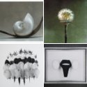 Member Album by Willie Jan