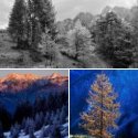Member Album by marko_trebusak
