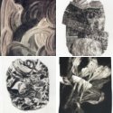 Member Album by payral