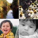 Member Album by mcostolo