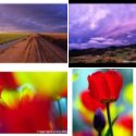 Member Album by Ken N