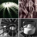 Member Album by mfobrien