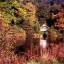 Member Album by Bob F.