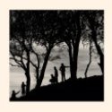 Member Album by Blighty