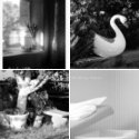 Member Album by rusty_tripod