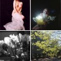 Member Album by Ed Sukach