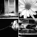 Member Album by Matthewt