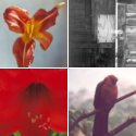 Member Album by SteveGangi