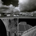 Member Album by julian bell
