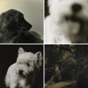 Member Album by matthewbetcher