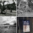 Member Album by Aggie
