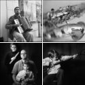 Member Album by Sandeha Lynch