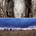 Member Album by matti