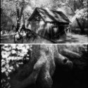Member Album by Doug Webb