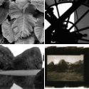 Member Album by Curt