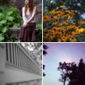 Member Album by get_me_a_gun