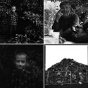 Member Album by milosz