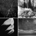 Member Album by Christopher Walrath