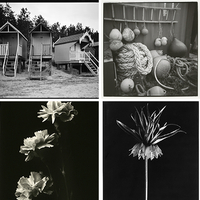 Member Album by hairyseg