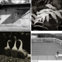 Member Album by eddym