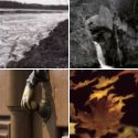 Member Album by copake_ham
