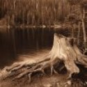 Member Album by Derek Lofgreen