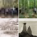 Member Album by jamie young