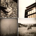 Member Album by Scott-S
