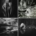Member Album by williamgregory