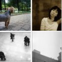 Member Album by butterflydream
