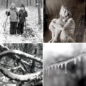 Member Album by singram