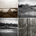 Member Album by MVNelson
