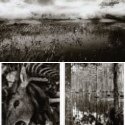 Member Album by semeuse